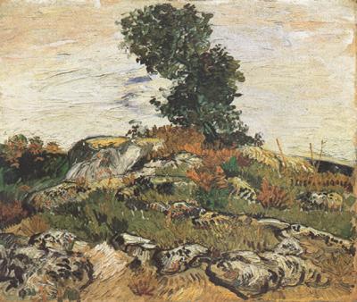 Vincent Van Gogh Rocks with Oak Trees (nn04) Norge oil painting art